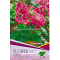 FL01 2018 nova rosa sementes de flores diferentes tipos de sementes de flores para venda